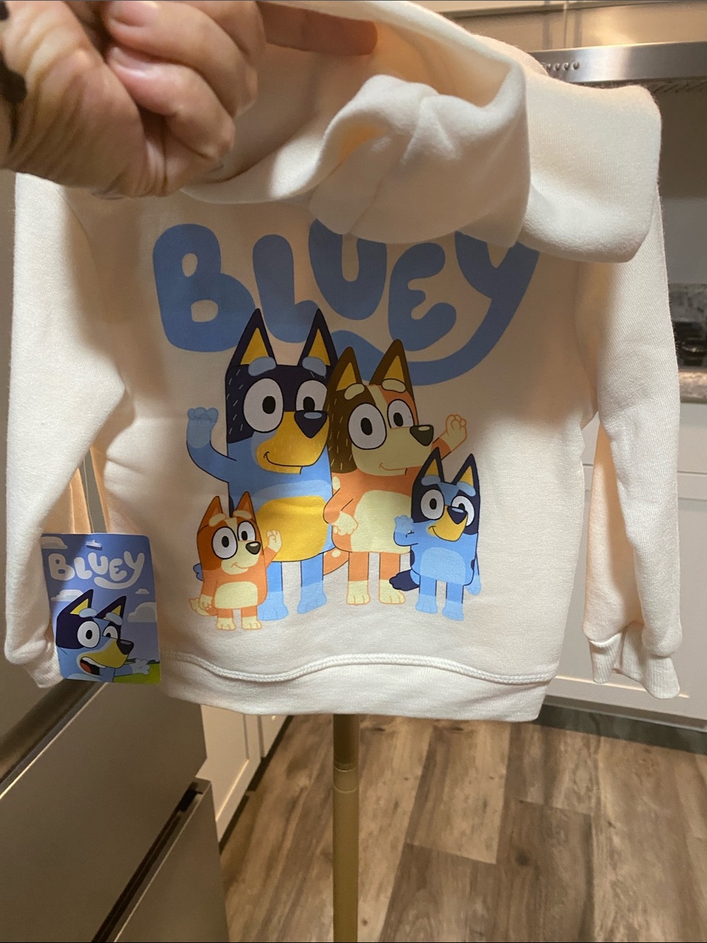 Bluey Cream Kids' Hoodie & Jogger Set with Blue Character Graphic 2T Boys & Girl - Picture 5 of 6